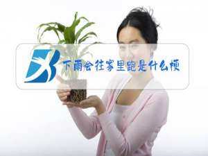 下雨会往家里跑是什么梗