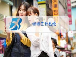 蜥蜴王什么梗