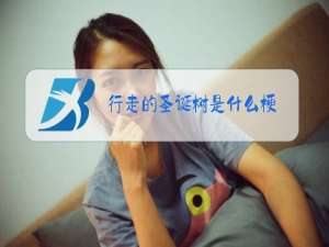 行走的圣诞树是什么梗