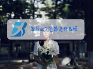 卸载uc浏览器是什么梗