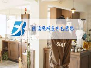 阅读梗概是什么意思