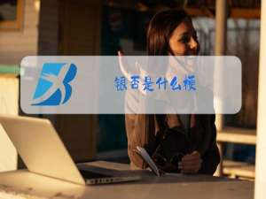 银否是什么梗