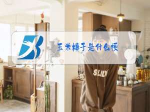 玉米棒子是什么梗