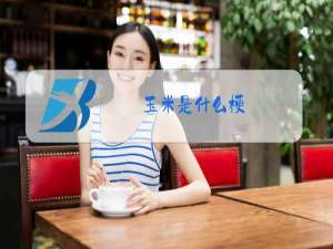 玉米是什么梗