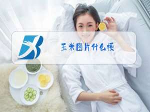 玉米图片什么梗