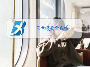 玉米晓夫什么梗