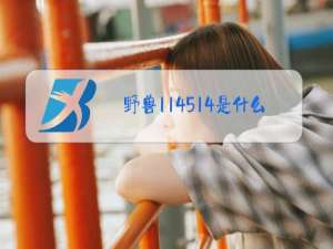 野兽114514是什么梗