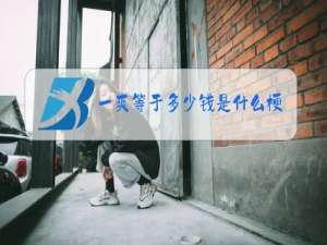 一爽等于多少钱是什么梗