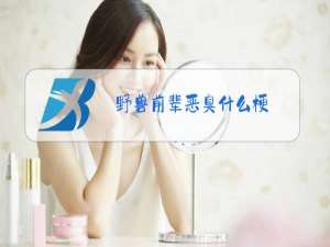 野兽前辈恶臭什么梗
