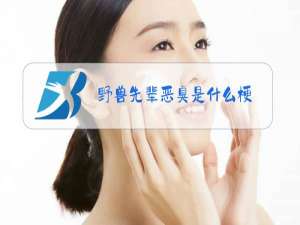 野兽先辈恶臭是什么梗