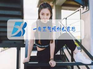 一身正气梗什么意思
