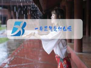 一身正气是什么梗