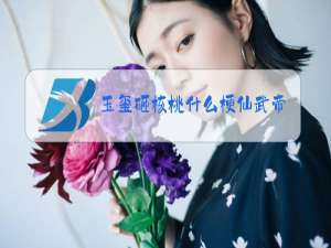 玉玺砸核桃什么梗仙武帝尊