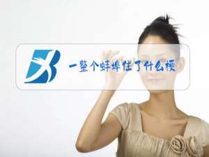 一整个蚌埠住了什么梗