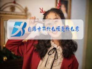 自爆卡车什么梗是什么意思