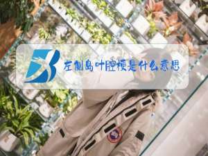 左侧岛叶腔梗是什么意思