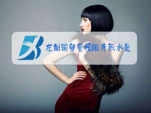 左侧输卵管梗阻并积水是什么情况