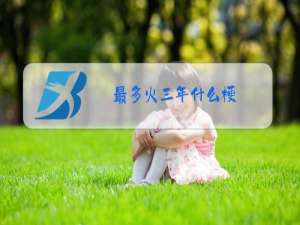 最多火三年什么梗