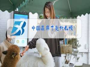 中国赢麻了是什么梗