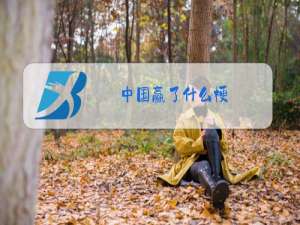 中国赢了什么梗