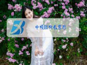 中梗阻什么意思