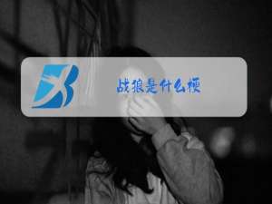 战狼是什么梗