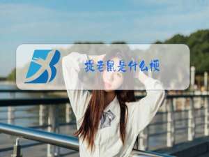 捉老鼠是什么梗