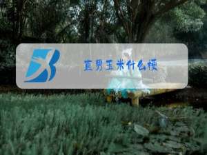直男玉米什么梗