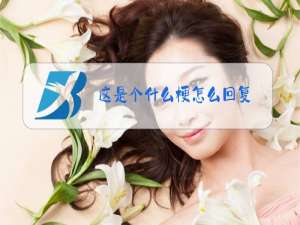 这是个什么梗怎么回复