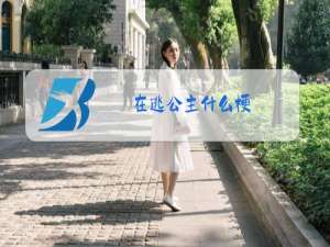 在逃公主什么梗