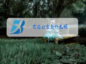 在逃公主是什么梗