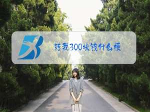 转我300块钱什么梗