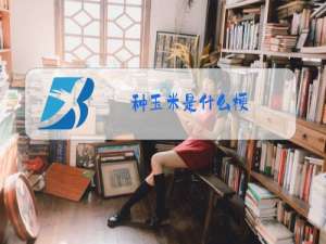 种玉米是什么梗