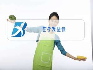 至于我是谁,双枪会给出答案什么梗