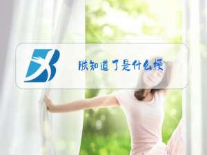 朕知道了是什么梗