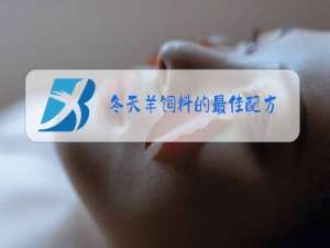 冬天羊饲料的最佳配方