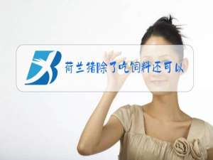 荷兰猪除了吃饲料还可以吃什么