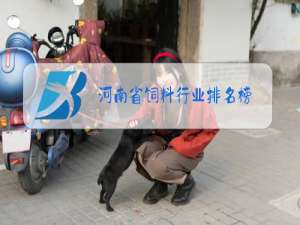 河南省饲料行业排名榜
