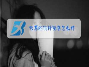 牧原的饲料销售怎么样