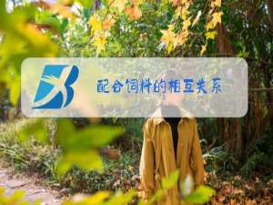配合饲料的相互关系