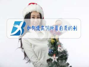 如何提高饲料蛋白质的利用效率