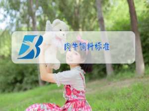 肉牛饲料标准