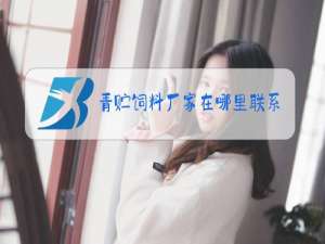 青贮饲料厂家在哪里联系