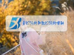 青贮饲料和微贮饲料哪种好