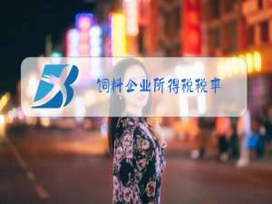 饲料企业所得税税率