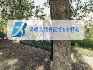 绣眼鸟饲料配方6个特点