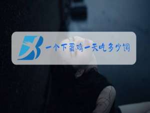一个下蛋鸡一天吃多少饲料
