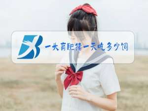 一头育肥猪一天吃多少饲料