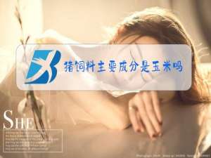 猪饲料主要成分是玉米吗