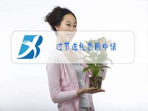 过节送礼费用申请